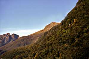 FIORDLAND-NATIONAL-PARK-2019 (247)